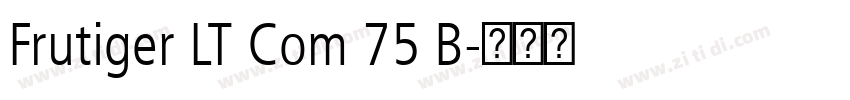 Frutiger LT Com 75 B字体转换